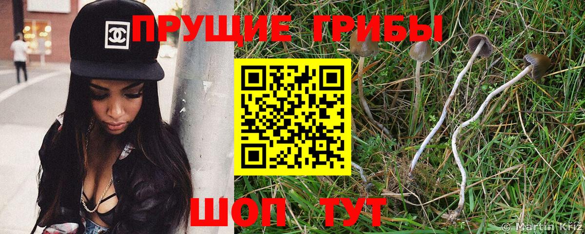 Чебоксары  Псилоцибиновые грибы MAGIC MUSHROOMS  Галлюциногенные грибы ЛСД  Вход с VPN 
